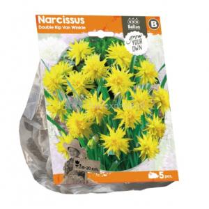 Baltus Narcissus Double Rip Van Winkle bloembollen per 5 stuks